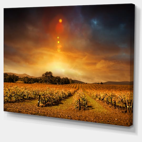 Designart - Yellow Autumn Vineyard Sunset